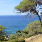 Barbate seaside