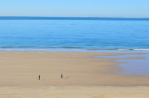 Alquileres en Cádiz y Costa de la Luz