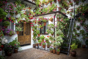 Alquileres en Córdoba