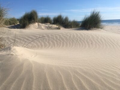 Travel connections between Andalucía, Spain, and the rest of the world