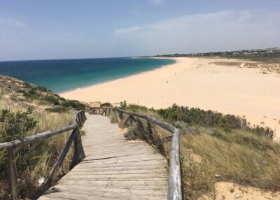 Why Not Every Company Embraces Full Remote Work